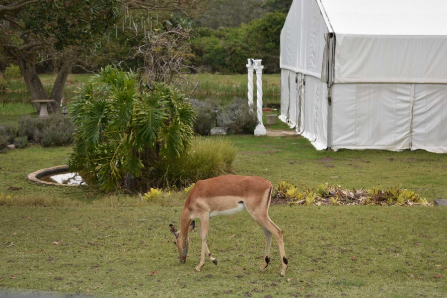 6 Bedroom Property for Sale in East Coast Resorts Eastern Cape